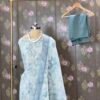 sage green linen cotton suit set for women | pastel designer ethnic wear – house of kaur sage green linen cotton suit set for women | pastel designer ethnic wear – house of kaur