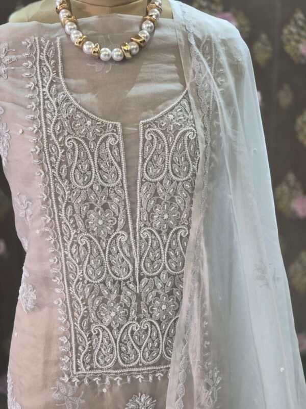 pastel organza suit set with lakhnawi embroidery & pearl work | elegant ethnic wear pastel organza suit set with lakhnawi embroidery & pearl work | elegant ethnic wear