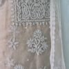pastel organza suit set with lakhnawi embroidery & pearl work | elegant ethnic wear pastel organza suit set with lakhnawi embroidery & pearl work | elegant ethnic wear
