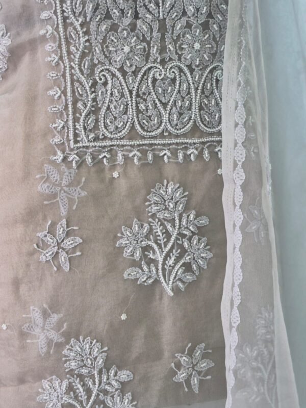 pastel organza suit set with lakhnawi embroidery & pearl work | elegant ethnic wear pastel organza suit set with lakhnawi embroidery & pearl work | elegant ethnic wear