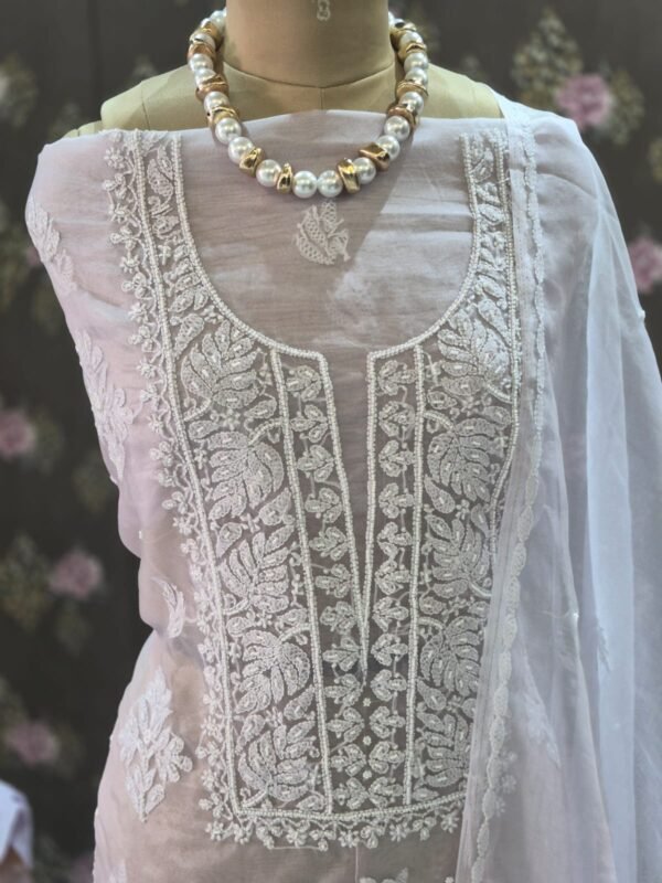 pastel organza suit set with lakhnawi embroidery & pearl work | elegant ethnic wear pastel organza suit set with lakhnawi embroidery & pearl work | elegant ethnic wear
