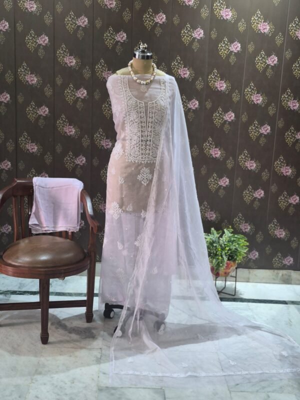pastel organza suit set with lakhnawi embroidery & pearl work | elegant ethnic wear pastel organza suit set with lakhnawi embroidery & pearl work | elegant ethnic wear