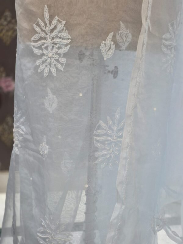 pastel organza suit set with lakhnawi embroidery & pearl work | elegant ethnic wear pastel organza suit set with lakhnawi embroidery & pearl work | elegant ethnic wear